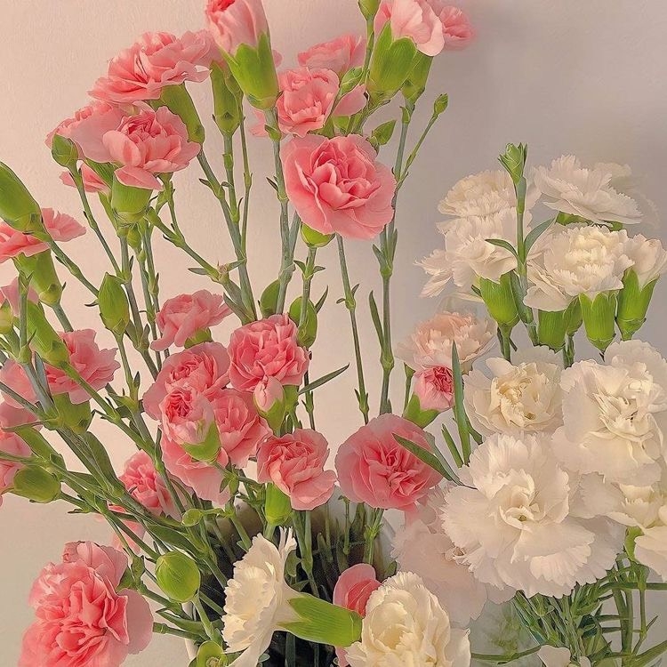 Tử vi 12 con giáp ngày 24/9/2022: Tuổi Tỵ vướng thị phi, tuổi Tý phát triển thuận lợi