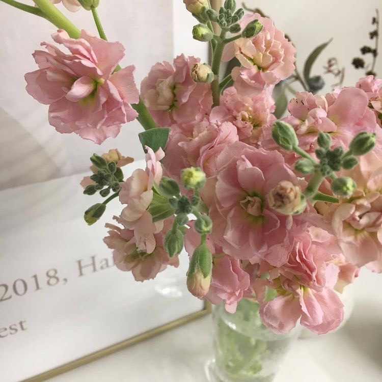 Tử vi 12 con giáp ngày 24/9/2022: Tuổi Tỵ vướng thị phi, tuổi Tý phát triển thuận lợi