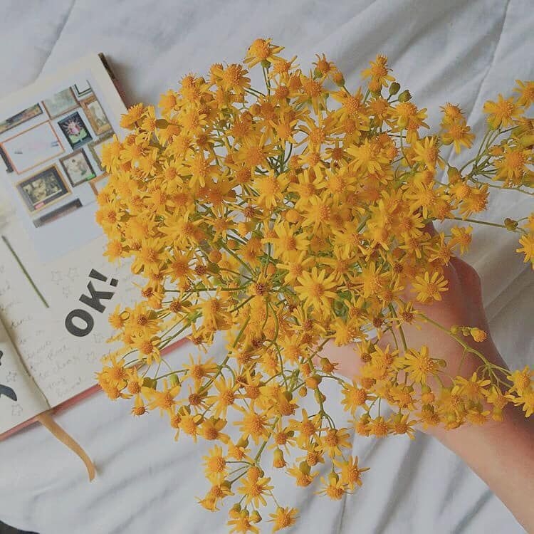 Tử vi 12 con giáp ngày 27/9/2022: Tuổi Sửu khó yên ổn, tuổi Thân gặp nhiều may mắn