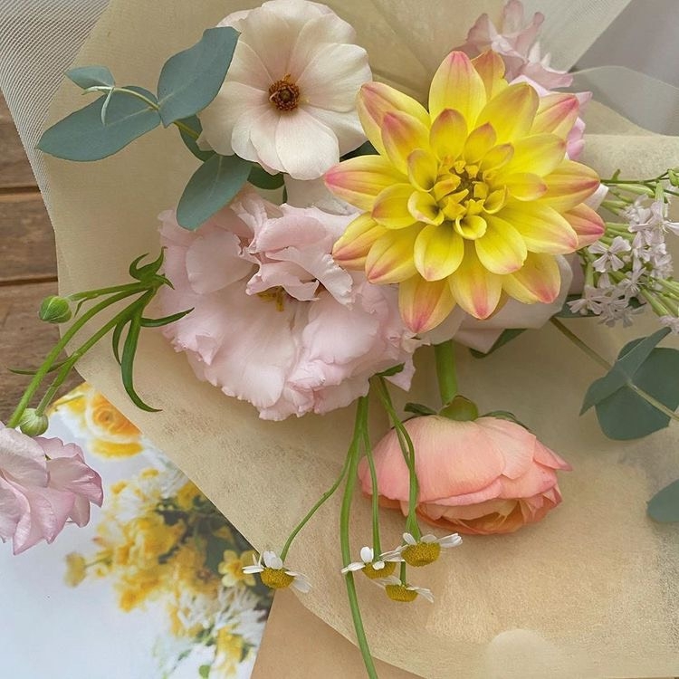 Tử vi 12 con giáp ngày 28/9/2022: Tuổi Hợi cải thiện tài lộc, tuổi Dần dễ gây mâu thuẫn