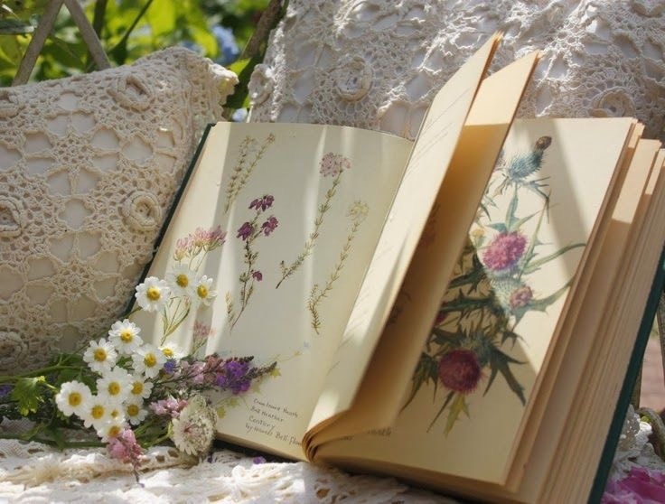 Tử vi 12 con giáp ngày 2/10/2022: Tuổi Sửu quý nhân nâng đỡ, tuổi Dần may mắn tình cảm