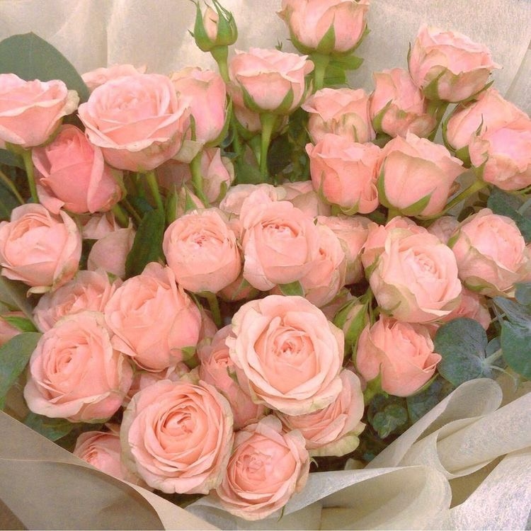 Tử vi 12 con giáp ngày 3/10/2022: Tuổi Tỵ làm việc thuận lợi, tuổi Thìn gặp phải kẻ xấu