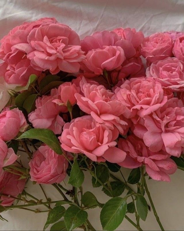 Tử vi 12 con giáp ngày 3/10/2022: Tuổi Tỵ làm việc thuận lợi, tuổi Thìn gặp phải kẻ xấu