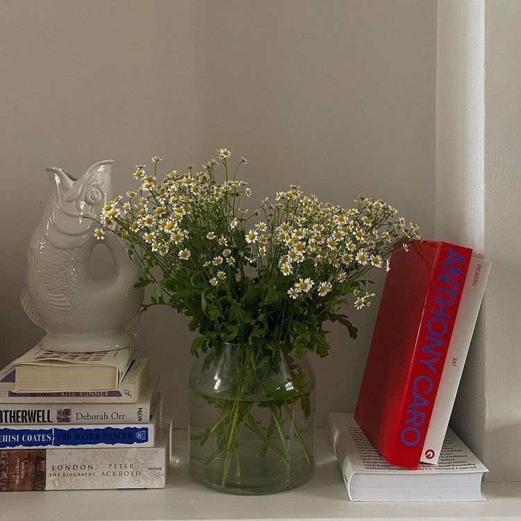 Tử vi 12 con giáp ngày 4/10/2022: Tuổi Dần tài lộc khởi sắc, tuổi Thân rắc rối công việc