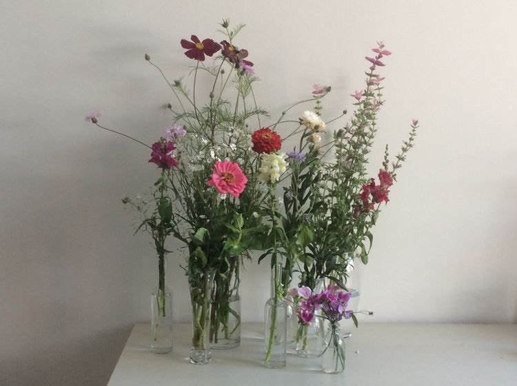 Tử vi 12 con giáp ngày 8/10/2022: Tuổi Tý căng thẳng mệt mỏi, tuổi Thìn gặt hái tiền bạc