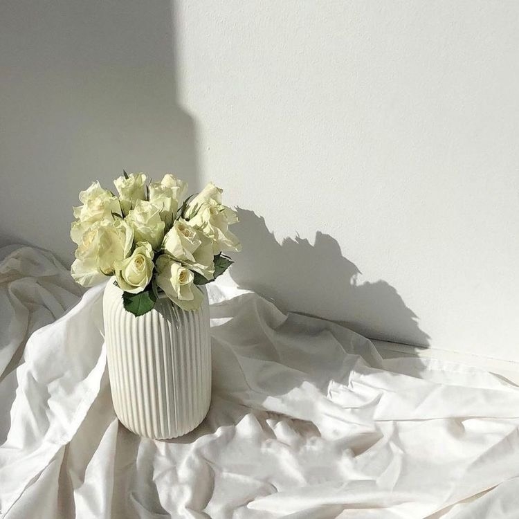 Tử vi 12 con giáp ngày 10/10/2022: Tuổi Dậu tiến triển thuận lợi, tuổi Hợi vướng nhiều rắc rối