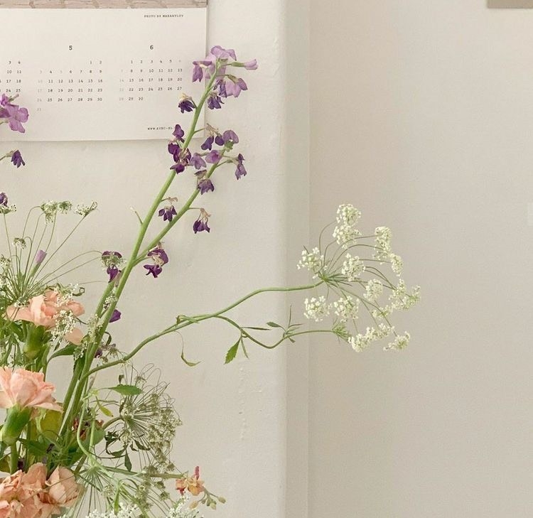 Tử vi 12 con giáp ngày 13/10/2022: Tuổi Tỵ làm việc thuận lợi, tuổi Dậu công việc trì trệ