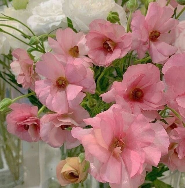 Tử vi 12 con giáp ngày 21/10/2022: Tuổi Dậu tin vui tài chính, tuổi Thìn không được chủ quan