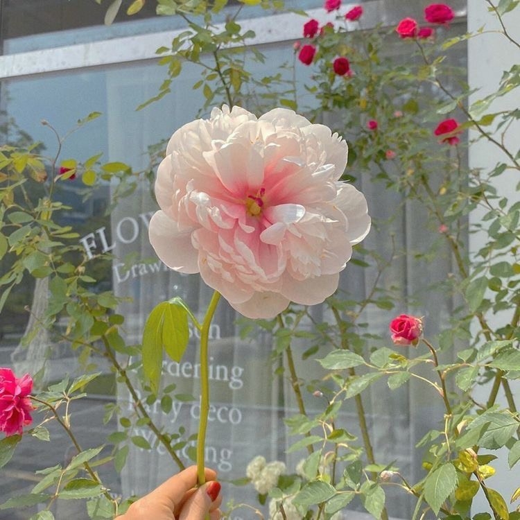 Tử vi 12 con giáp ngày 24/10/2022: Tuổi Mão cơ hội giàu lên, tuổi Mùi tự tin thái quá