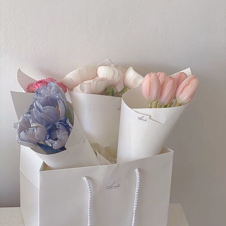 Tử vi 12 con giáp ngày 24/10/2022: Tuổi Mão cơ hội giàu lên, tuổi Mùi tự tin thái quá