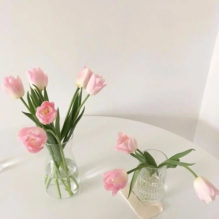 Tử vi 12 con giáp ngày 26/10/2022: Tuổi Mùi tràn đầy năng lượng, tuổi Tý thận trọng lời nói