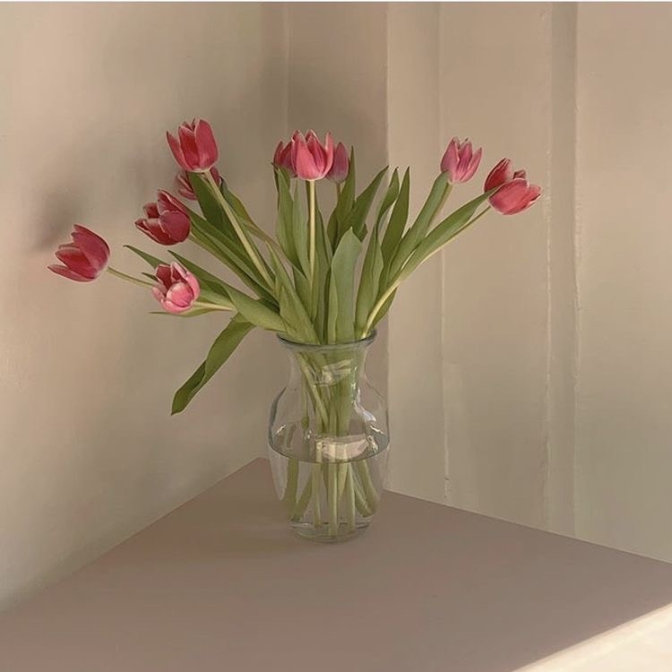 Tử vi 12 con giáp ngày 27/10/2022: Tuổi Tuất rước họa vào thân, tuổi Tỵ vượng đào hoa Tử vi 12 con giáp ngày 27/10/2022: Tuổi Tuất rước họa vào thân, tuổi Tỵ vượng đào hoa