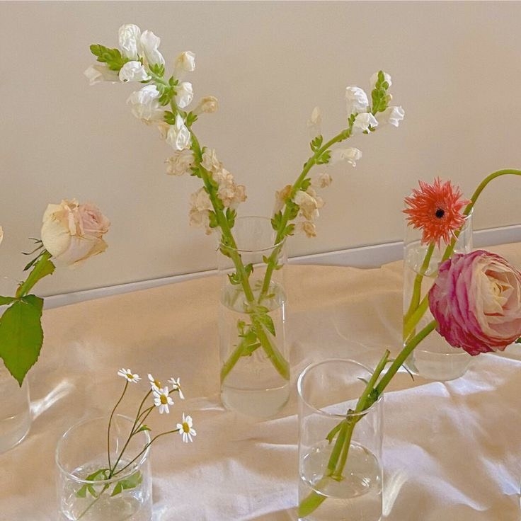 Tử vi 12 con giáp ngày 28/10/2022: Tuổi Mùi tin vui tài lộc, tuổi Mão sức khỏe đi xuống