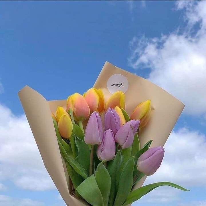 Tử vi 12 con giáp ngày 31/10/2022: Tuổi Dần có nhiều tin vui, tuổi Ngọ gặp phải xui xẻo