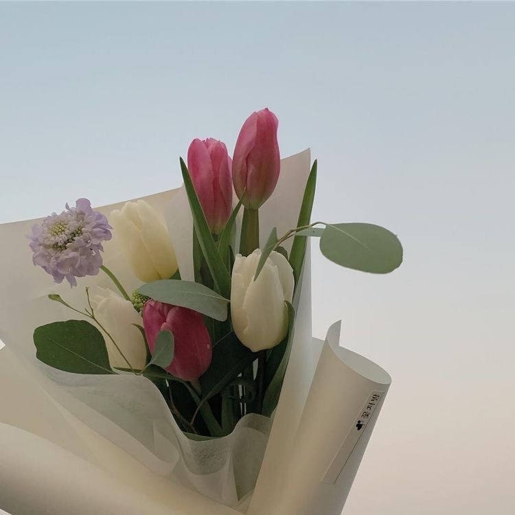 Tử vi 12 con giáp ngày 31/10/2022: Tuổi Dần có nhiều tin vui, tuổi Ngọ gặp phải xui xẻo