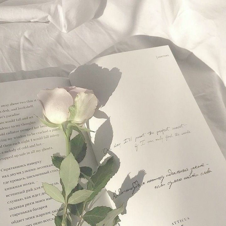 Tử vi 12 con giáp ngày 3/11/2022: Tuổi Hợi dễ vướng cạm bẫy, tuổi Sửu tình cảm tiến triển Tử vi 12 con giáp ngày 3/11/2022: Tuổi Hợi dễ vướng cạm bẫy, tuổi Sửu tình cảm tiến triển