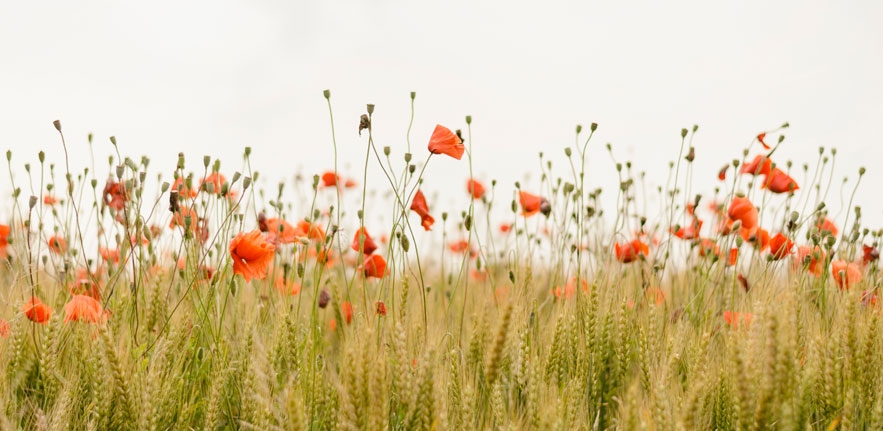 Tử vi ngày 5/11/2022: Tuổi Thìn dễ vướng rắc rối, tuổi Tỵ phát tài bất ngờ Tử vi ngày 5/11/2022: Tuổi Thìn dễ vướng rắc rối, tuổi Tỵ phát tài bất ngờ