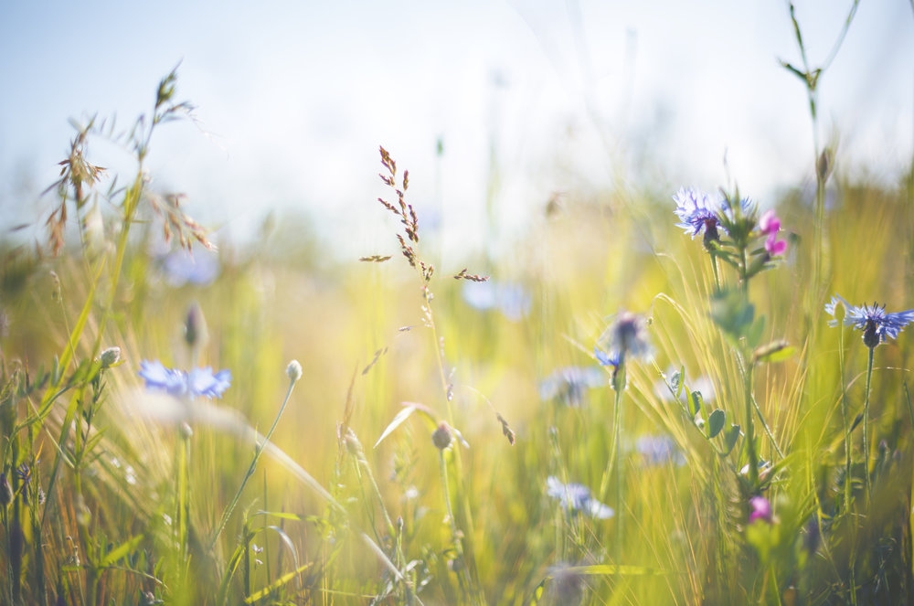Tử vi ngày 5/11/2022: Tuổi Thìn dễ vướng rắc rối, tuổi Tỵ phát tài bất ngờ Tử vi ngày 5/11/2022: Tuổi Thìn dễ vướng rắc rối, tuổi Tỵ phát tài bất ngờ