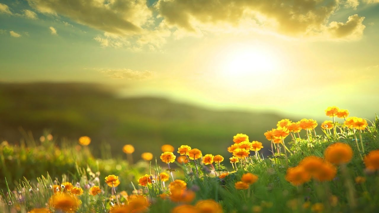 Tử vi ngày 5/11/2022: Tuổi Thìn dễ vướng rắc rối, tuổi Tỵ phát tài bất ngờ Tử vi ngày 5/11/2022: Tuổi Thìn dễ vướng rắc rối, tuổi Tỵ phát tài bất ngờ