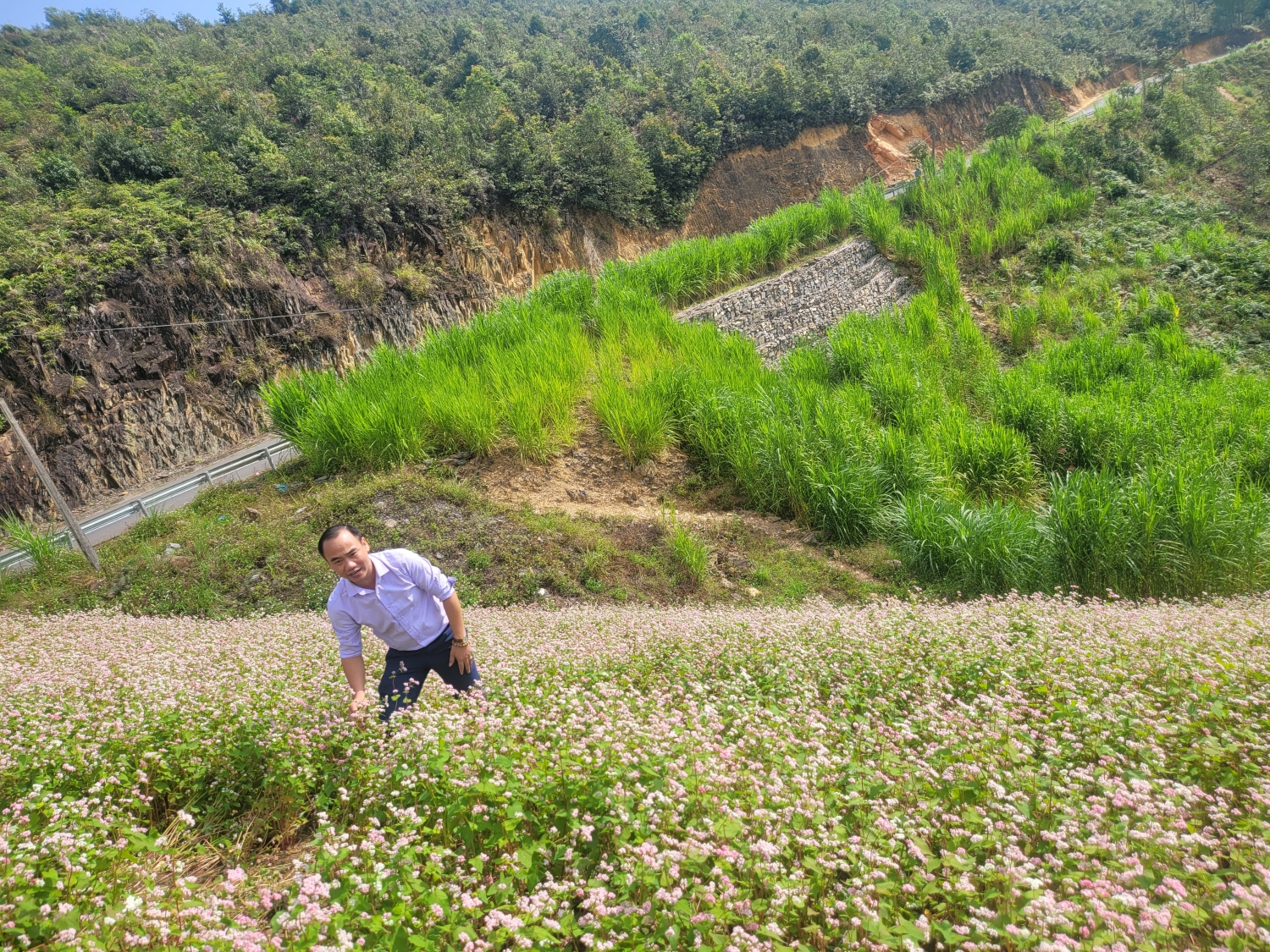 Về Hà Giang - Mảnh đất "cỏ chen đá, đá chen hoa"