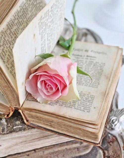 Tử vi ngày 9/11/2022: Tuổi Dần chứng minh bản lĩnh, tuổi Ngọ sớm đón tin vui Tử vi ngày 9/11/2022: Tuổi Dần chứng minh bản lĩnh, tuổi Ngọ sớm đón tin vui