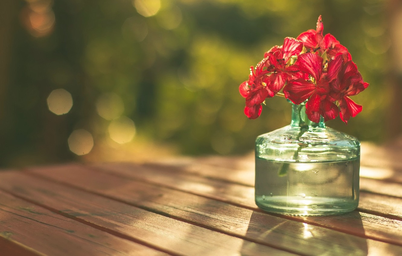 Tử vi ngày 11/11/2022: Tuổi Thìn cảm xúc thất thường, tuổi Hợi cơ hội kiếm tiền Tử vi ngày 11/11/2022: Tuổi Thìn cảm xúc thất thường, tuổi Hợi cơ hội kiếm tiền