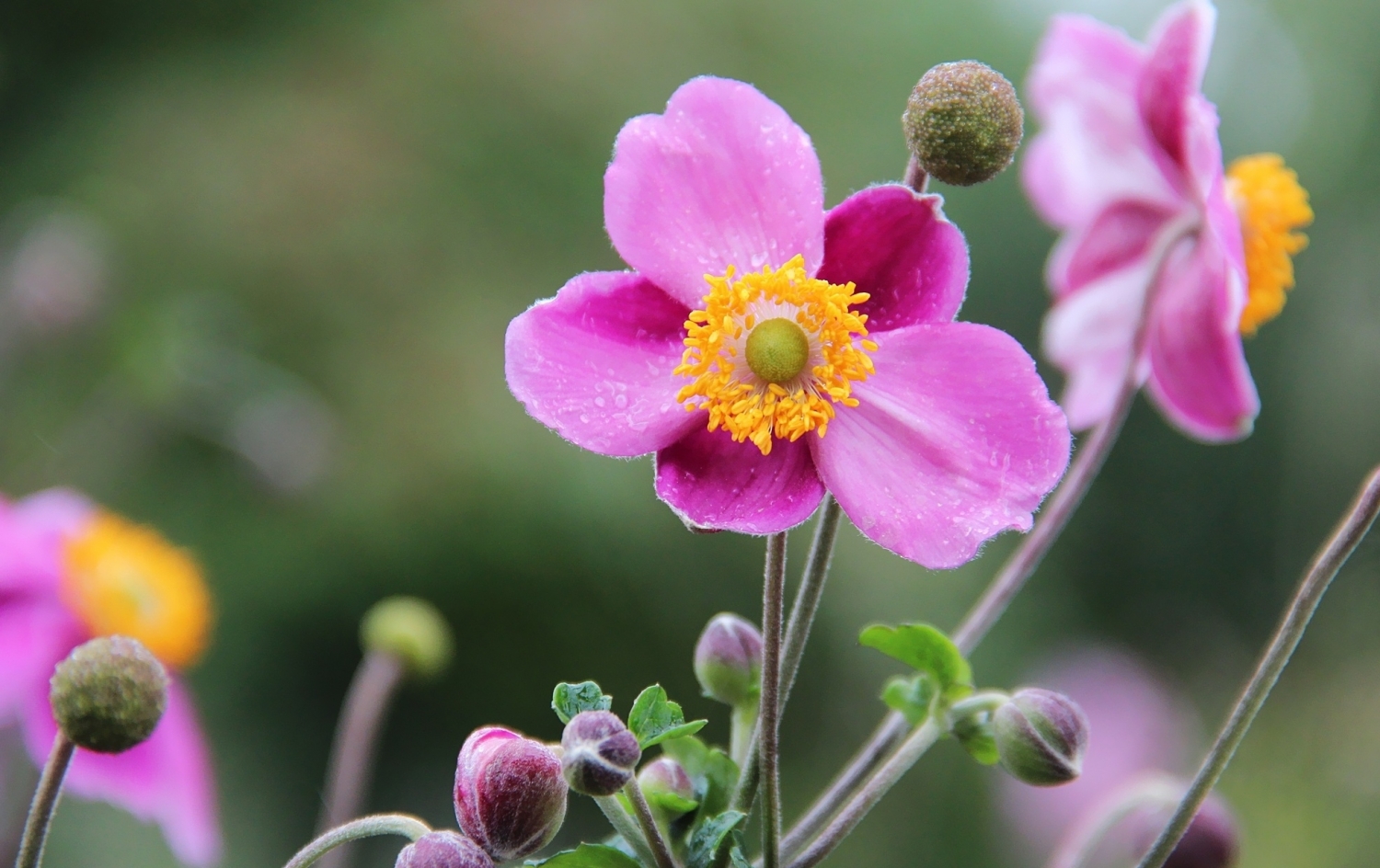 Tử vi ngày 12/11/2022: Tuổi Tý cơ hội phát tài, tuổi Tỵ gặp nhiều may mắn Tử vi ngày 12/11/2022: Tuổi Tý cơ hội phát tài, tuổi Tỵ gặp nhiều may mắn