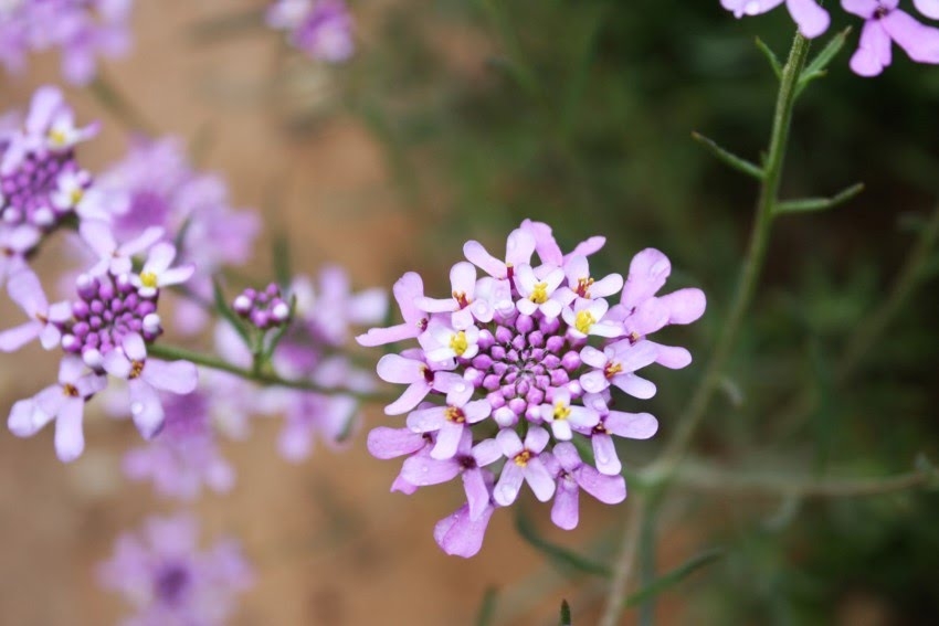 Tử vi ngày 22/11/2022: Tuổi Thìn đối mặt rắc rối, tuổi Ngọ tài lộc tăng tiến Tử vi ngày 22/11/2022: Tuổi Thìn đối mặt rắc rối, tuổi Ngọ tài lộc tăng tiến