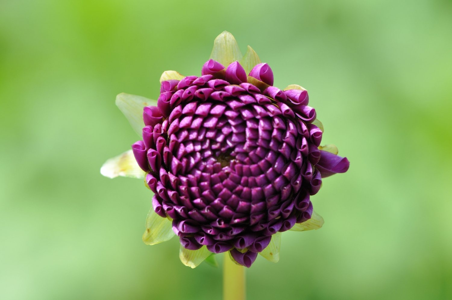 Tử vi ngày 3/12/2022: Tuổi Tý tin vui tình cảm, tuổi Mùi cơ hội cất nhắc Tử vi ngày 3/12/2022: Tuổi Tý tin vui tình cảm, tuổi Mùi cơ hội cất nhắc