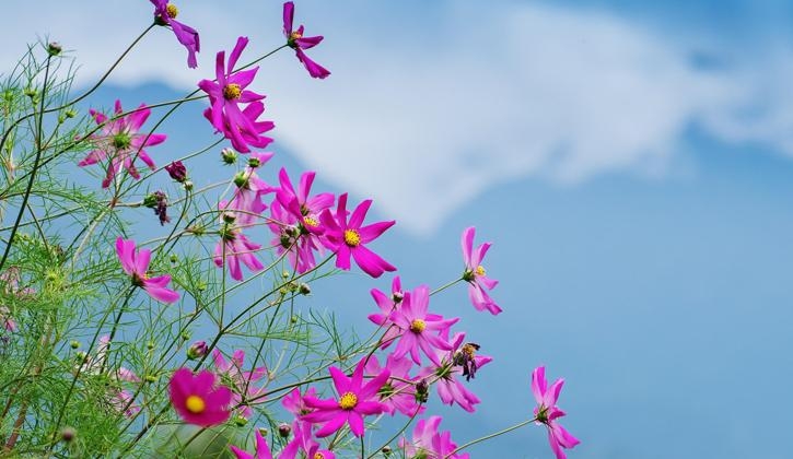 Tử vi ngày 7/12/2022: Tuổi Sửu nhận được tin vui, tuổi Thân rối như tơ vò Tử vi ngày 7/12/2022: Tuổi Sửu nhận được tin vui, tuổi Thân rối như tơ vò