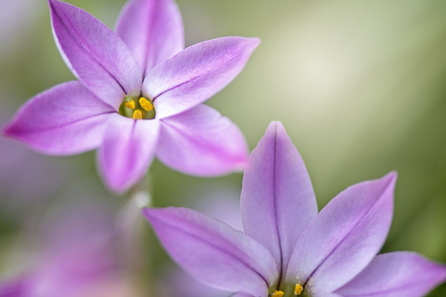 Tử vi ngày 7/12/2022: Tuổi Sửu nhận được tin vui, tuổi Thân rối như tơ vò Tử vi ngày 7/12/2022: Tuổi Sửu nhận được tin vui, tuổi Thân rối như tơ vò