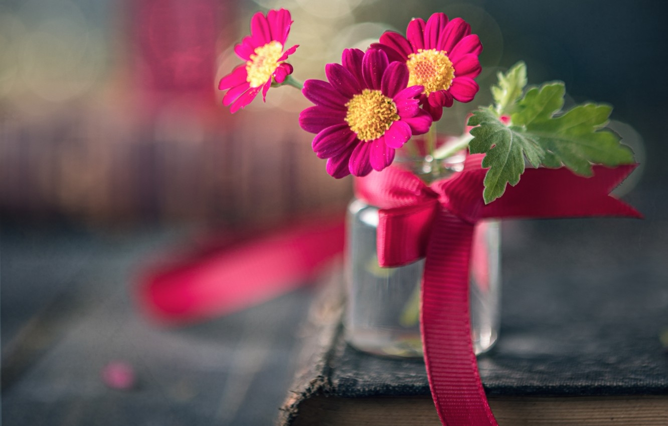 Tử vi ngày 19/12/2022: Tuổi Tý dễ vướng tranh chấp, tuổi Tuất túi tiền rủng rỉnh