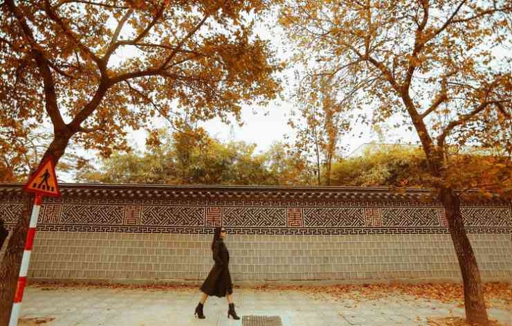 Vi vu xứ Hàn ngay trong lòng Hà Nội Vi vu xứ Hàn ngay trong lòng Hà Nội