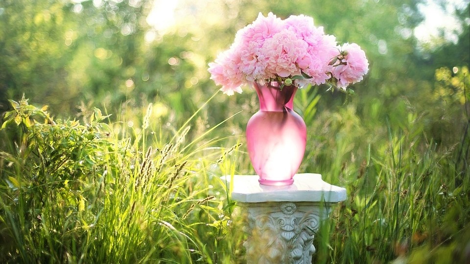 Tử vi ngày 28/12/2022: Tuổi Tý gặp nhiều cát lợi, tuổi Dần có nhiều tin vui