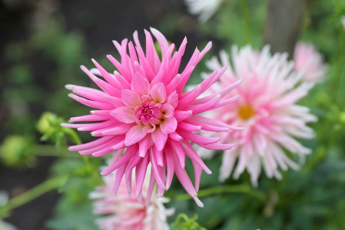 Tử vi ngày 30/12/2022: Tuổi Sửu gặp cơ hội tốt, tuổi Thân quý nhân xuất hiện Tử vi ngày 30/12/2022: Tuổi Sửu gặp cơ hội tốt, tuổi Thân quý nhân xuất hiện