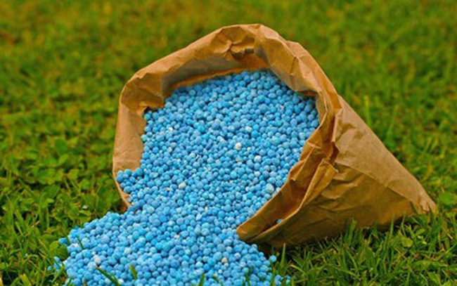 Giá phân bón hôm nay 30/12: Duy trì ổn định