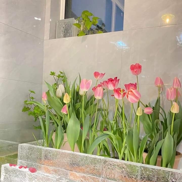 undefined Tử vi 12 con giáp ngày 20/3/2023: Tuổi Thìn nhiều phiềm phức, tuổi Thân túi tiền rủng rỉnh