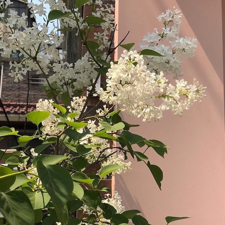 Tử vi vòng quay công nghệ ngày 5/1/2024: Tuổi Ngọ lộc tiền bạc, tuổi Tý gặp khó khăn Tử vi vòng quay công nghệ ngày 5/1/2024: Tuổi Ngọ lộc tiền bạc, tuổi Tý gặp khó khăn