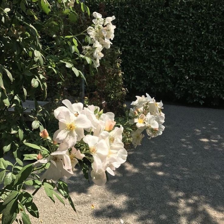 Tử vi vòng quay công nghệ ngày 5/1/2024: Tuổi Ngọ lộc tiền bạc, tuổi Tý gặp khó khăn Tử vi vòng quay công nghệ ngày 5/1/2024: Tuổi Ngọ lộc tiền bạc, tuổi Tý gặp khó khăn