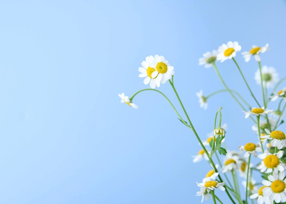 Tử vi vòng quay công nghệ ngày 8/1/2025: Tuổi Ngọ coi trọng sức khỏe, tuổi Hợi thuận lợi hơn Tử vi vòng quay công nghệ ngày 8/1/2025: Tuổi Ngọ coi trọng sức khỏe, tuổi Hợi thuận lợi hơn