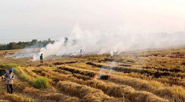 Nhiều vùng nông thôn miền Bắc bị ô nhiễm không khí Nhiều vùng nông thôn miền Bắc bị ô nhiễm không khí