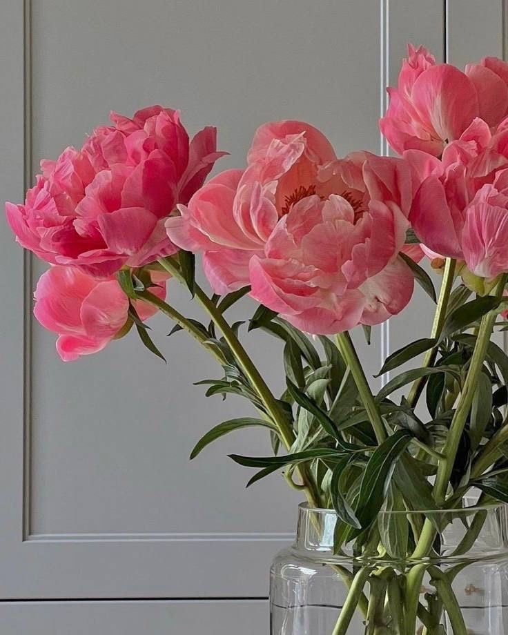 Tử vi vòng quay công nghệ ngày 11/1/2025: Tử vi vòng quay công nghệ ngày 11/1/2025: