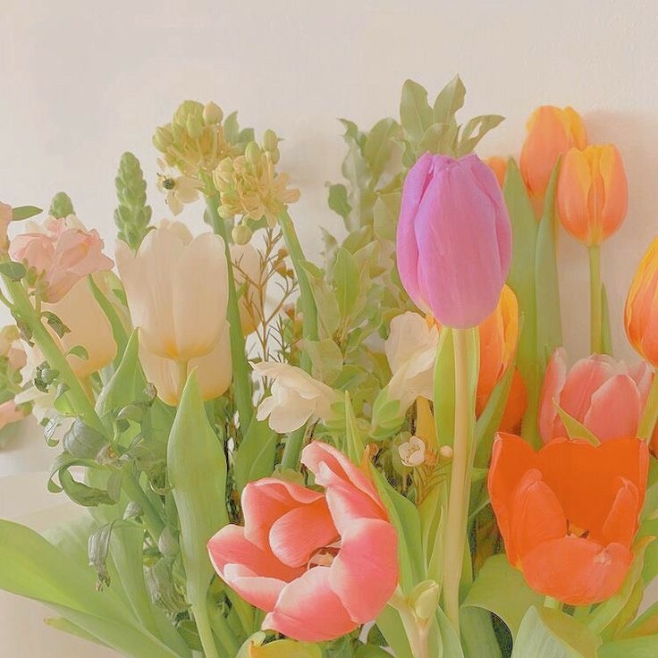 Tử vi vòng quay công nghệ ngày 12/1/2025: Tuổi Dần đón ngày tươi vui, tuổi Thìn gây tranh cãi Tử vi vòng quay công nghệ ngày 12/1/2025: Tuổi Dần đón ngày tươi vui, tuổi Thìn gây tranh cãi