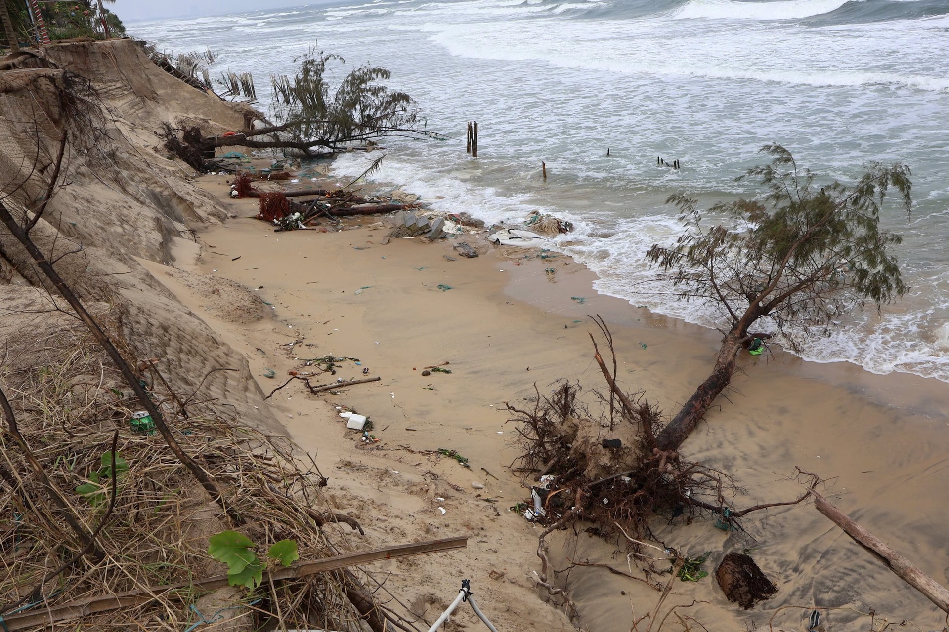 Quảng Nam: Tiếp diễn sạt lở nghiêm trọng bờ biển Hội An Quảng Nam: Tiếp diễn sạt lở nghiêm trọng bờ biển Hội An