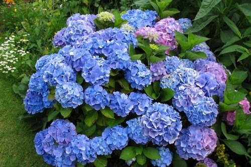 Tử vi vòng quay công nghệ ngày 23/1/2025: Tuổi Hợi tài lộc dồi dào, tuổi Sửu chú ý sức khỏe Tử vi vòng quay công nghệ ngày 23/1/2025: Tuổi Hợi tài lộc dồi dào, tuổi Sửu chú ý sức khỏe