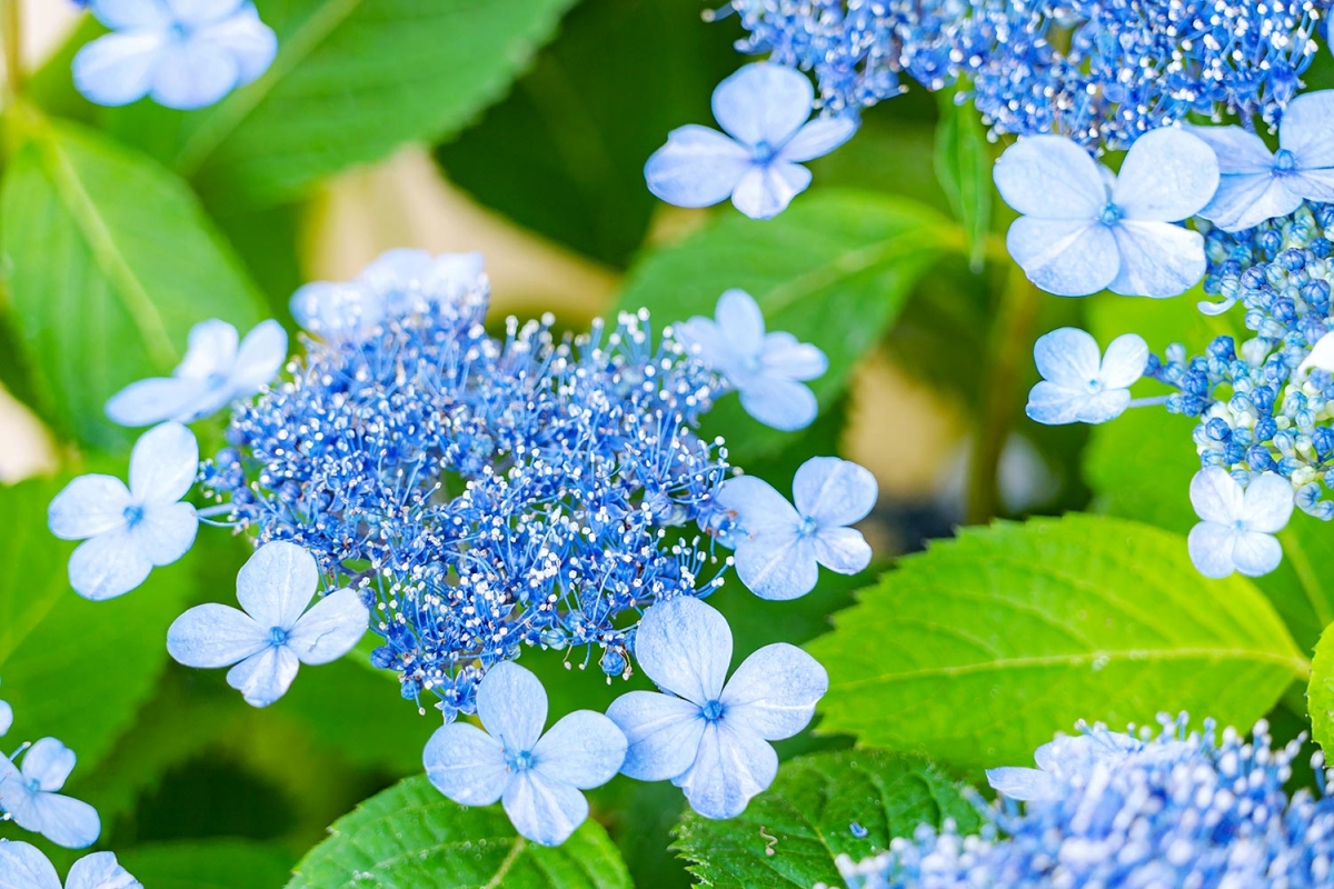 Tử vi vòng quay công nghệ ngày 23/1/2025: Tuổi Hợi tài lộc dồi dào, tuổi Sửu chú ý sức khỏe Tử vi vòng quay công nghệ ngày 23/1/2025: Tuổi Hợi tài lộc dồi dào, tuổi Sửu chú ý sức khỏe