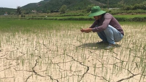 Dự báo diễn biến xâm nhập mặn vùng Đồng bằng sông Cửu Long năm 2025