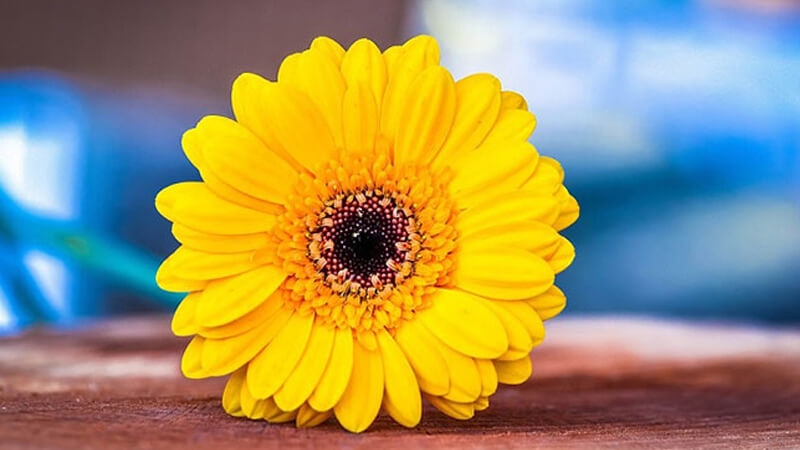 Tử vi vòng quay công nghệ ngày 25/1/2025: Tử vi vòng quay công nghệ ngày 25/1/2025: