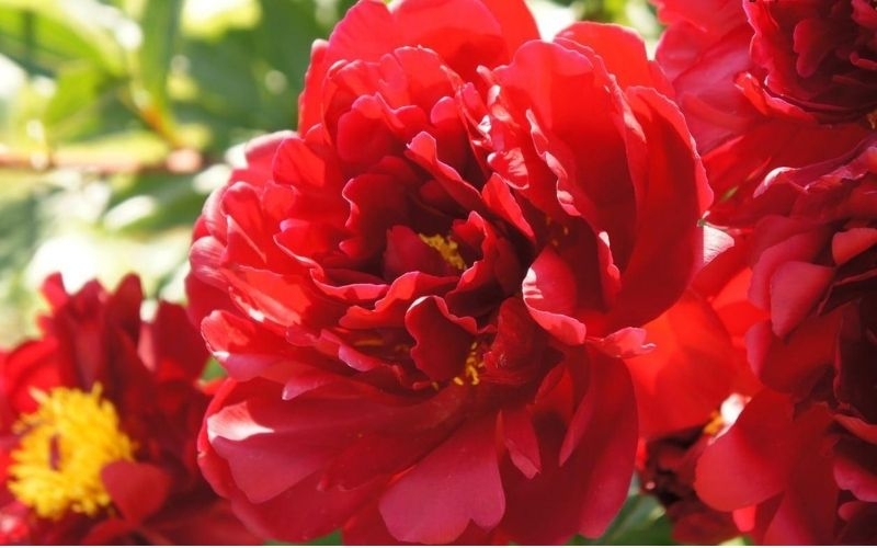 Tử vi vòng quay công nghệ ngày 27/1/2025: Tuổi Hợi khá may mắn, tuổi Mão gặp mâu thuẫn Tử vi vòng quay công nghệ ngày 27/1/2025: Tuổi Hợi khá may mắn, tuổi Mão gặp mâu thuẫn