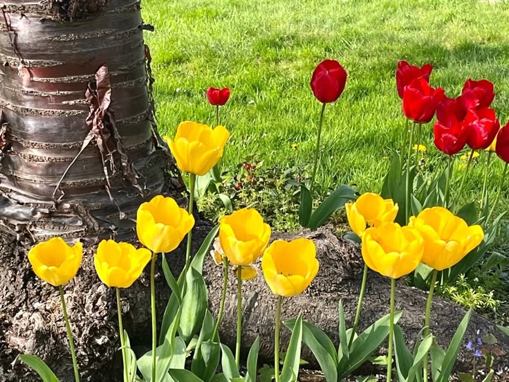 Tử vi vòng quay công nghệ ngày 5/1/2025: Tuổi Tuất cải thiện tài lộc, tuổi Tý suy nghĩ tiêu cực